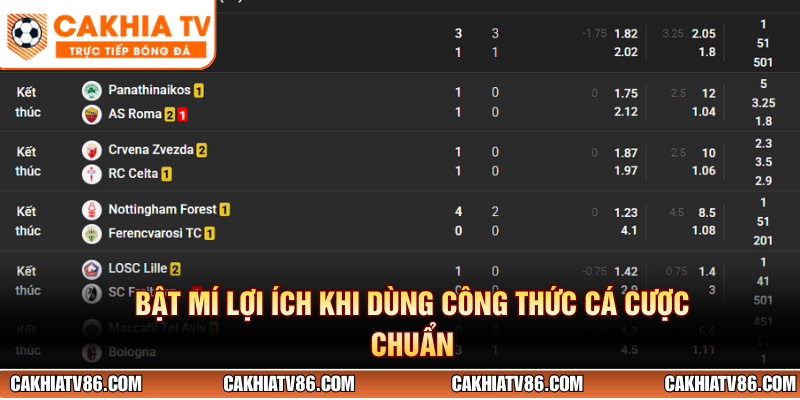 Bật mí lợi ích khi dùng công thức cá cược chuẩn