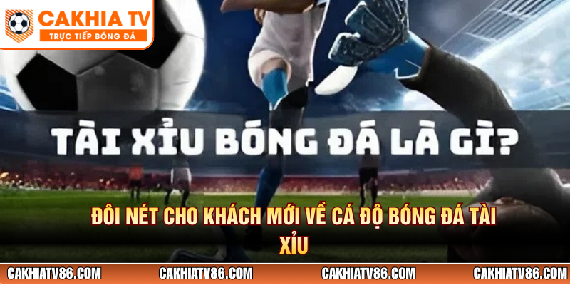 Đôi nét cho khách mới về cá độ bóng đá tài xỉu