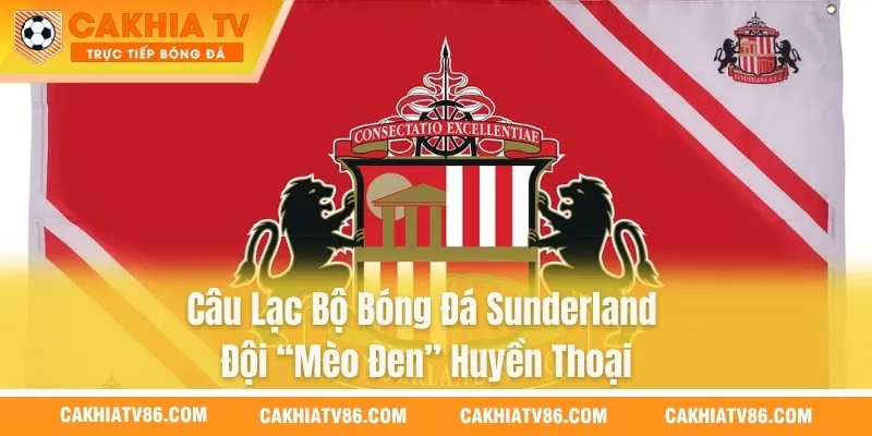 Câu Lạc Bộ Bóng Đá Sunderland – Đội “Mèo Đen” Huyền Thoại