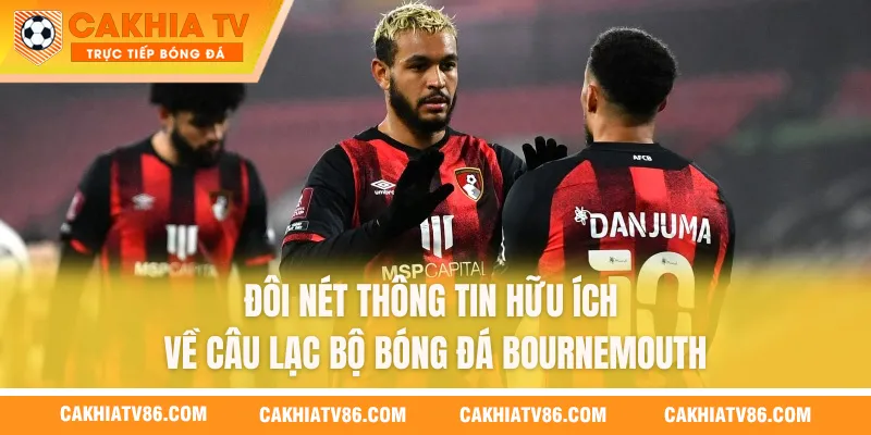 Đôi nét thông tin hữu ích về câu lạc bộ bóng đá Bournemouth