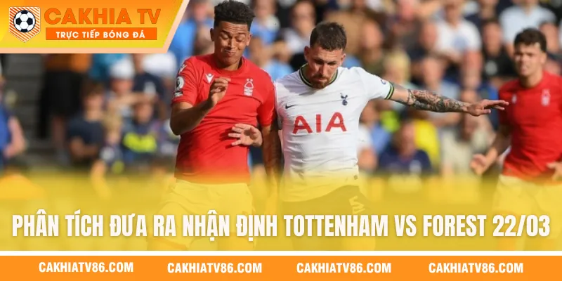 Phân tích đưa ra nhận định Tottenham vs Forest 22/03