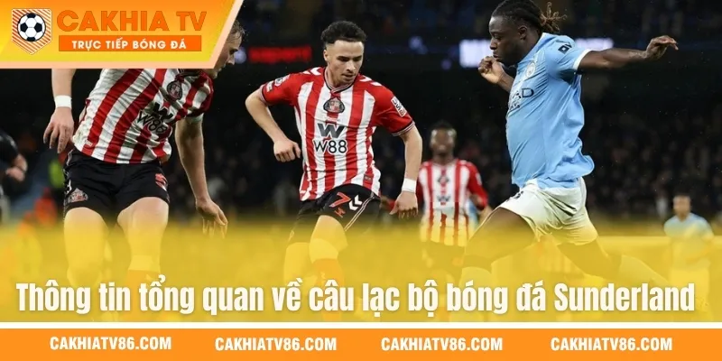 Thông tin tổng quan về câu lạc bộ bóng đá Sunderland